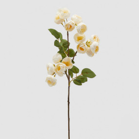 ROSA BLUSH BELL - 45cm